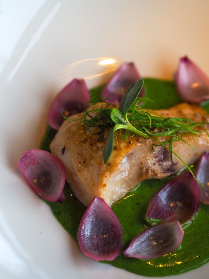 Gebratenes Störfilet auf Lauchpüree mit roten Zwiebeln